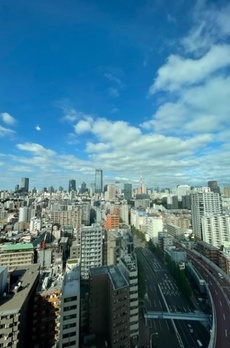 白金ザ・スカイ東棟 