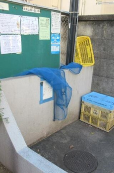 ベルデ南馬込 