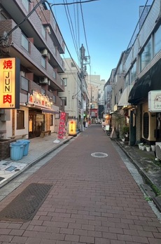 リヨンドール赤塚 周辺環境