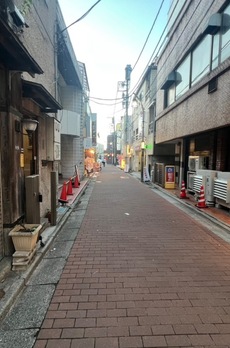 リヨンドール赤塚 周辺環境