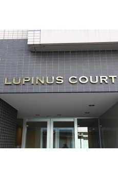 ＬＵＰＩＮＵＳ　ＣＯＵＲＴ 