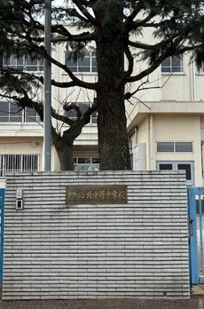 ビューラー八成山 