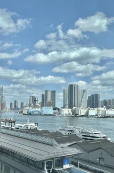 ローレルタワールネ浜松町 