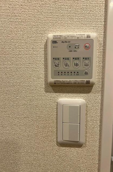 グレース桃井 