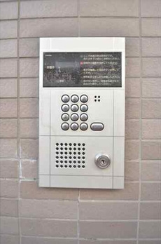 コスモフラワー 