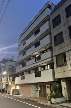 レッドウィング 