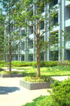 プラザタワー勝どき 