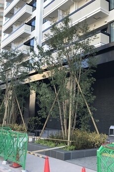 ザ・パークハウス高輪タワー 