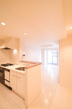 KDXレジデンス白金Ⅰ 