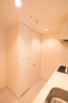 KDXレジデンス白金Ⅰ 