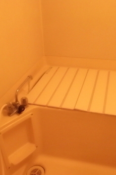 ライオンズマンション新富町 