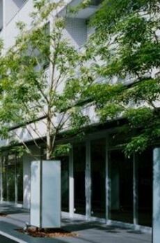 六本木デュープレックスエムズ 