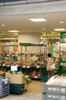 菱和パレス月島 