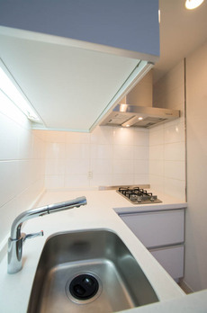 カスタリア高輪台 参考写真