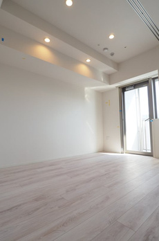 ライトテラス上野 