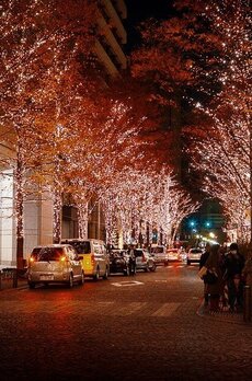 IS銀座レジデンス 銀座　並木通り