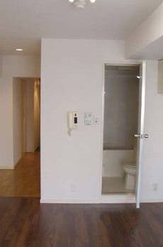 ライオンズマンション新富町第2 