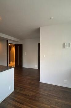 ミレアコート銀座プレミア 