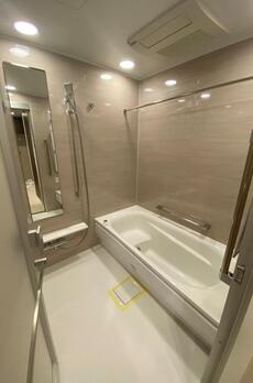 ミレアコート銀座プレミア 