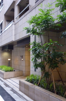 パレステュディオ銀座二丁目 
