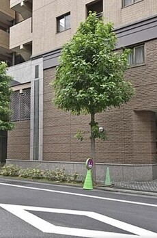 クイーンズパレス東京中央 