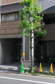 クイーンズパレス東京中央 