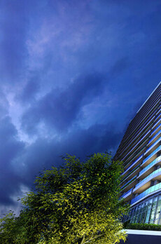 THE COURT 神宮外苑 