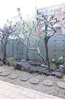 目黒区中町1丁目戸建 