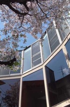 サクラノキテラス中目黒 