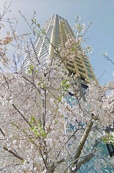 中目黒アトラスタワー 