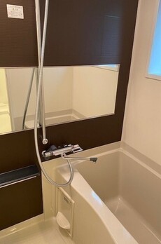 プラティーク白金 