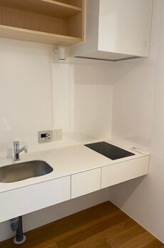 プラティーク白金 