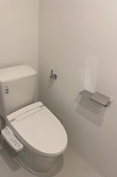 プラティーク白金 