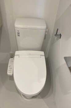 プラティーク白金 