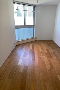 プラティーク白金 