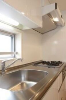 レジディア西新宿Ⅱ 