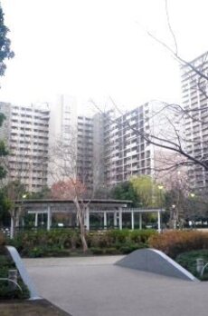 晴海アイランドトリトンスクエアビュータワー 【第一公園】2階サブエントランスに直結