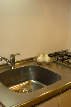 レジディア笹塚Ⅱ 