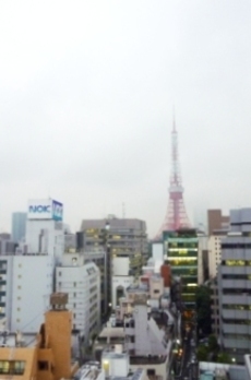 コスモグラシア芝大門 
