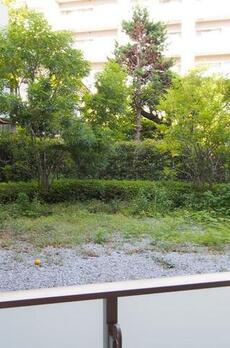 ディームス麻布狸穴町 