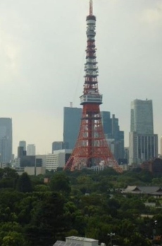 ザ・パークワンズ芝公園 