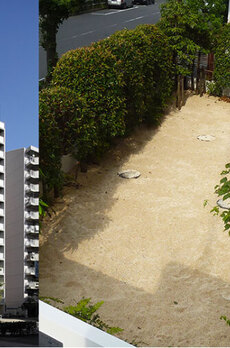 コンフォリア芝浦バウハウス ドッグラン