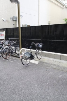 東京ベイビュウ 