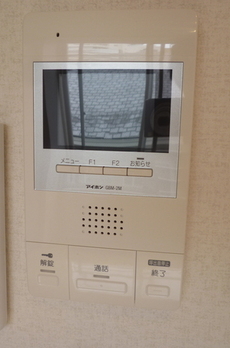 SmartLink白金 