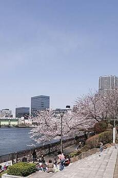 リバーポイントタワー 