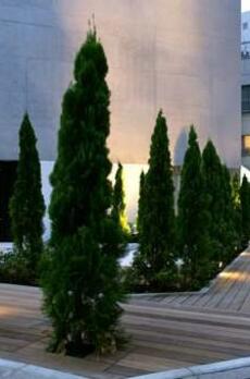 アーデン芝公園 