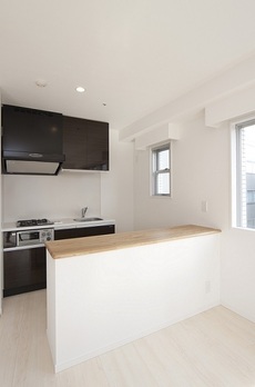 レジディア九段下Ⅱ 