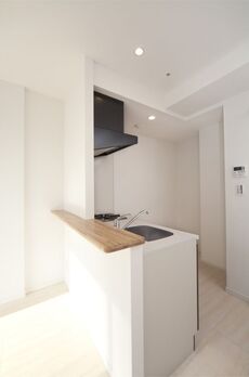 レジディア九段下Ⅱ 