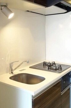 ジェノヴィア白金台グリーンヴェール 