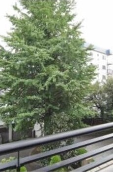 パークハウス麻布霞町 